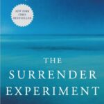 My Take on The Surrender Experiment
